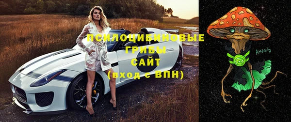 тгк Армянск