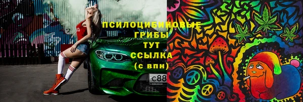 дурь Арсеньев