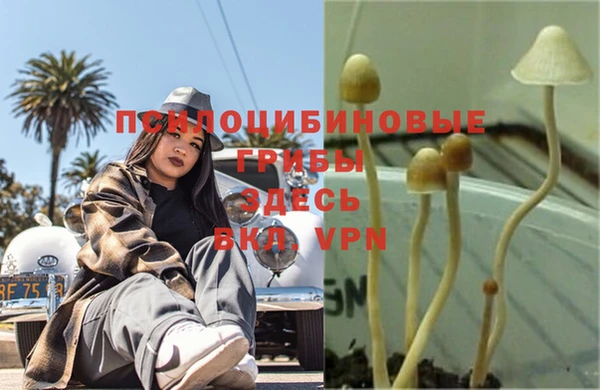 дурь Арсеньев