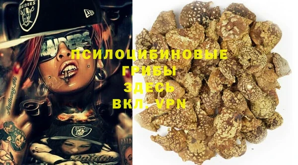 COCAINE Каменка