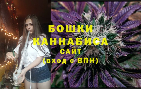 дурь Арсеньев