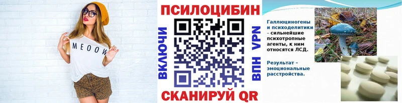 darknet наркотические препараты  Козьмодемьянск  Псилоцибиновые грибы Psilocybe  закладки 